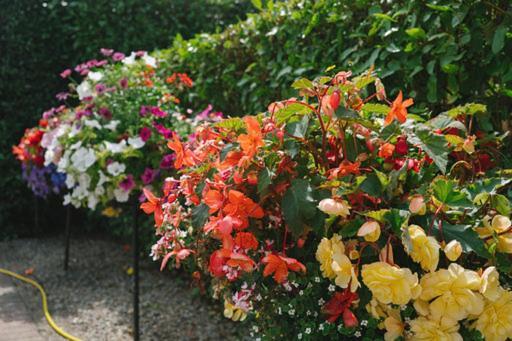 Windsor Lodge B&B Drogheda Luaran gambar